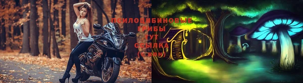 метамфетамин Инта