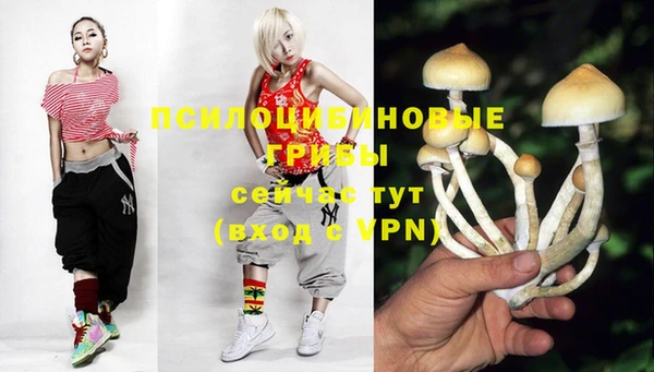 метамфетамин Инта