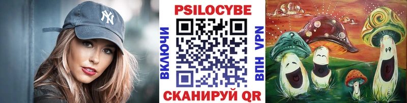 Купить  Дегтярск  Псилоцибиновые грибы Psilocybe 